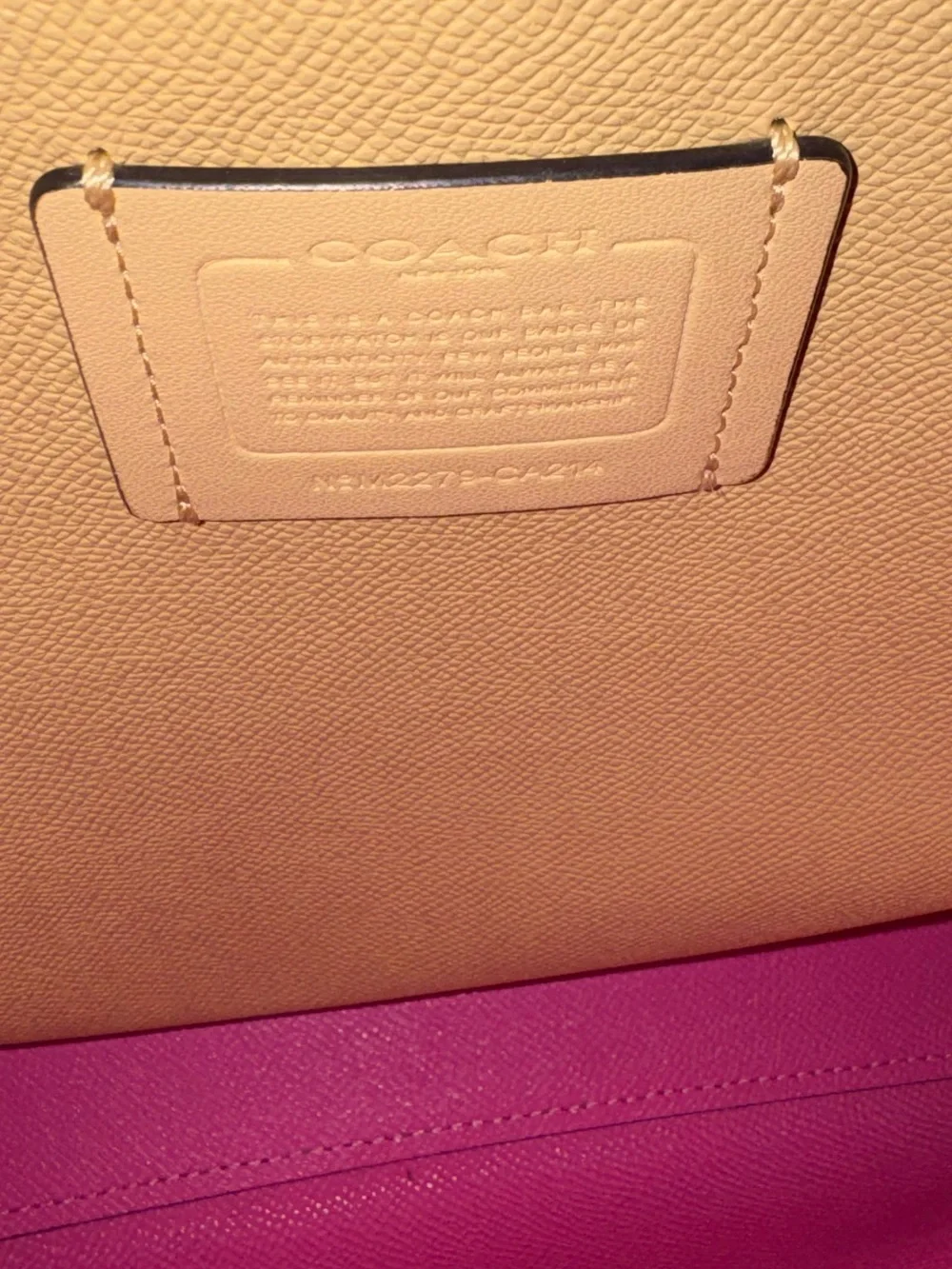Mollie Bucket 22 bag from Coach Two-Tone Leather Tote - Pink & green